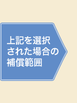 ��L��I�����ꂽ�ꍇ�̕⏞�͈�